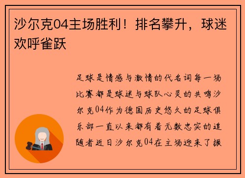 沙尔克04主场胜利！排名攀升，球迷欢呼雀跃